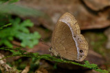 _LC02813x.jpg