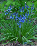 Spring 2016