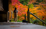 Japan Fall/Winter 2014