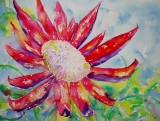 Protea 2 - Flower of South Africa. SOLD