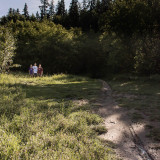 The Running Trail