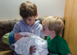My Three Grandsons