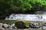 DSC_0988.JPG