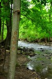 DSC_0992.JPG
