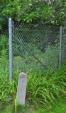NY_1001.jpg