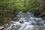 Little Pigeon River, Great Smoky Mountains