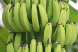 Banana ( Chuoi )