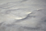 Kamchatka_029.jpg