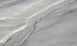 Kamchatka_030.jpg