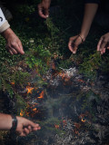 Kamchatka_137.jpg