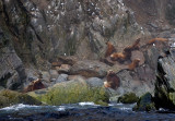 Okh_sea_248.jpg
