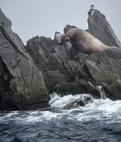 Okh_sea_251.jpg