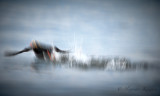 Speed
