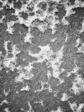 Snow and wind
