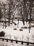 LTU-08-01-15-072.jpg
