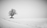 Winter. Lonely.