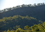 Silver Valley landscape