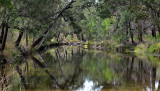 pool in Dry River