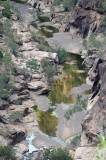 Porcupine Creek