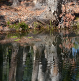 ripples