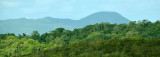 # Iron Range rainforest #