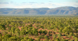 savanna and Featherbed Range