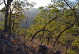 evening slope