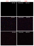 a7r II vs 5DsR Thermal noise test