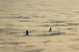 Bridge heads above the fog