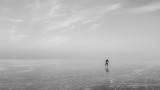 lone skater