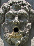 IMG_5790 copy