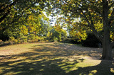 DSC_6282.JPG