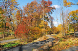 Fall - Staten Island Healing Garden 