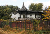 Fall - Staten Island Chinese Scholar Garden 