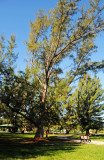 DSC_1220.jpg