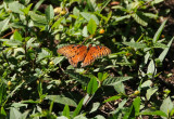 DSC_1221.jpg
