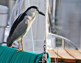 DSC_1282.jpg