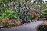 DSC_3174.jpg