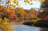 Fall at the Lake - Bow Bridge