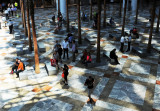 In the Shadows of the Winter Garden Courtyard  