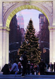 Holiday Tree Lights On at Sundown