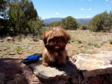 Casey goes to Shoofly Indian Ruins