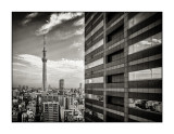 Sky Tree, Tokyo