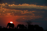 Makgadikgadi Pan