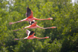 100M0416 - Version 2.jpg