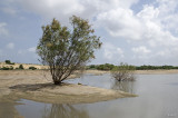 Ashkelon_South