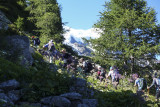 004 Climb to Gare des Glaciers.jpg