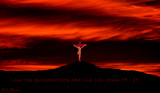 australian_churches