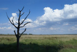 DSC03793 DwingelderveldF.jpg