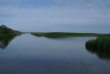 DSC05386F Oostvaardersplassen.jpg